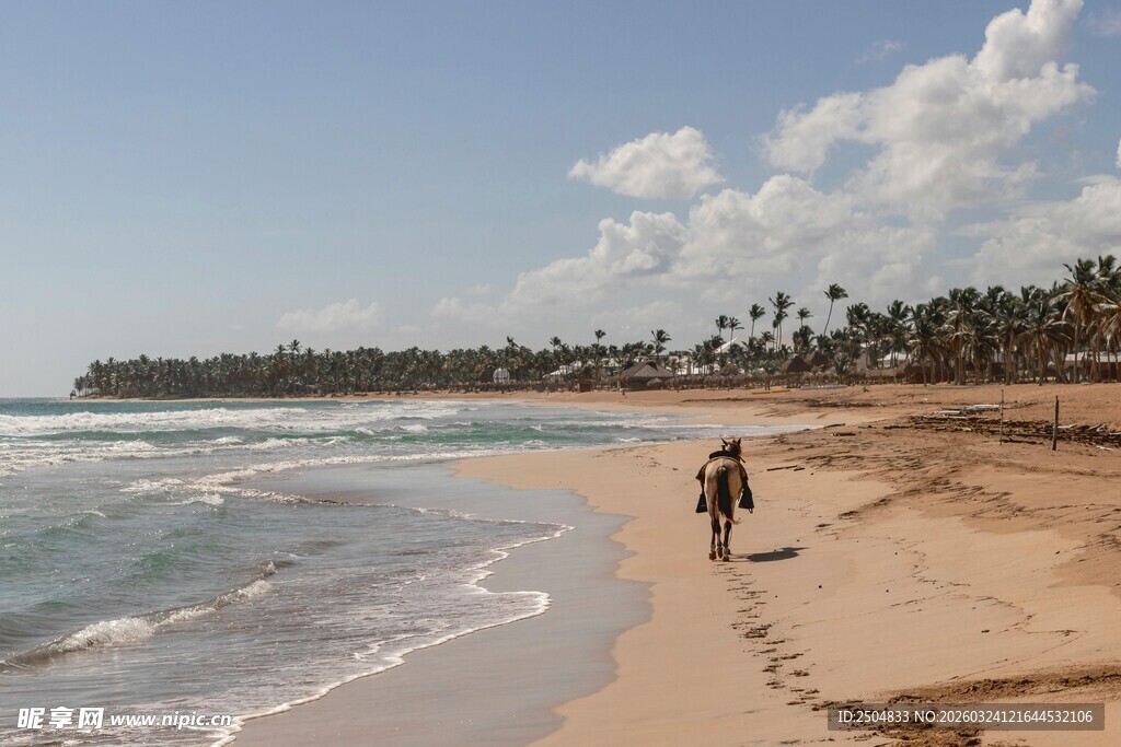 沙滩漫步的温馨亲子时光