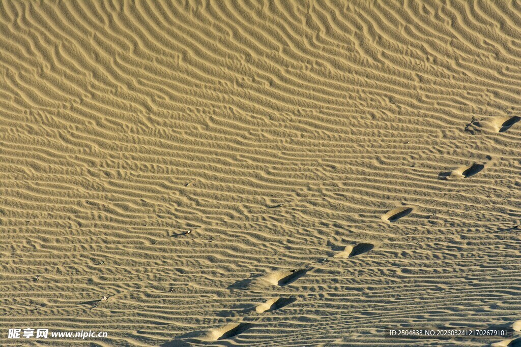  漠中的一串脚印