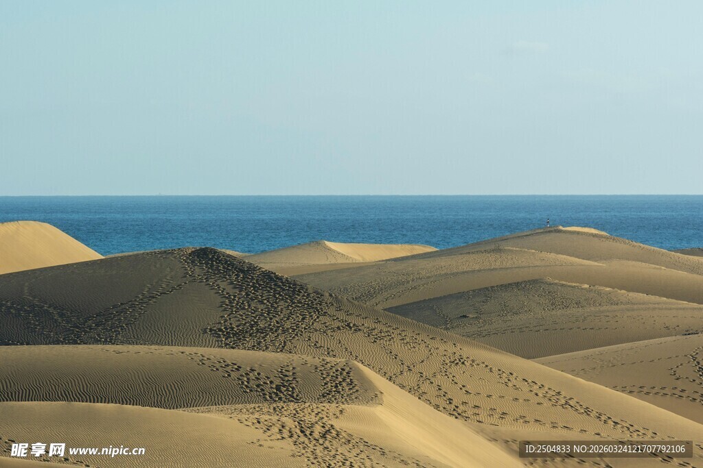  漠与海洋的壮丽景观
