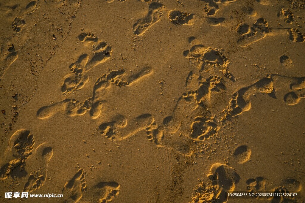 沙滩上的串串脚印