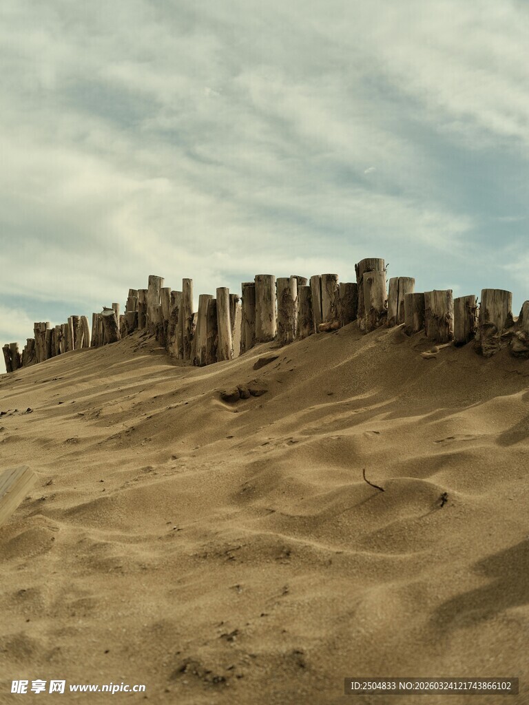  漠中的古老石柱遗迹