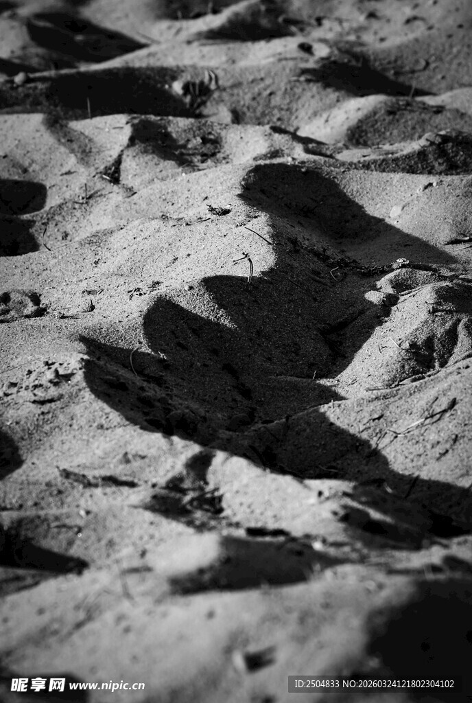 月球表面地貌特写