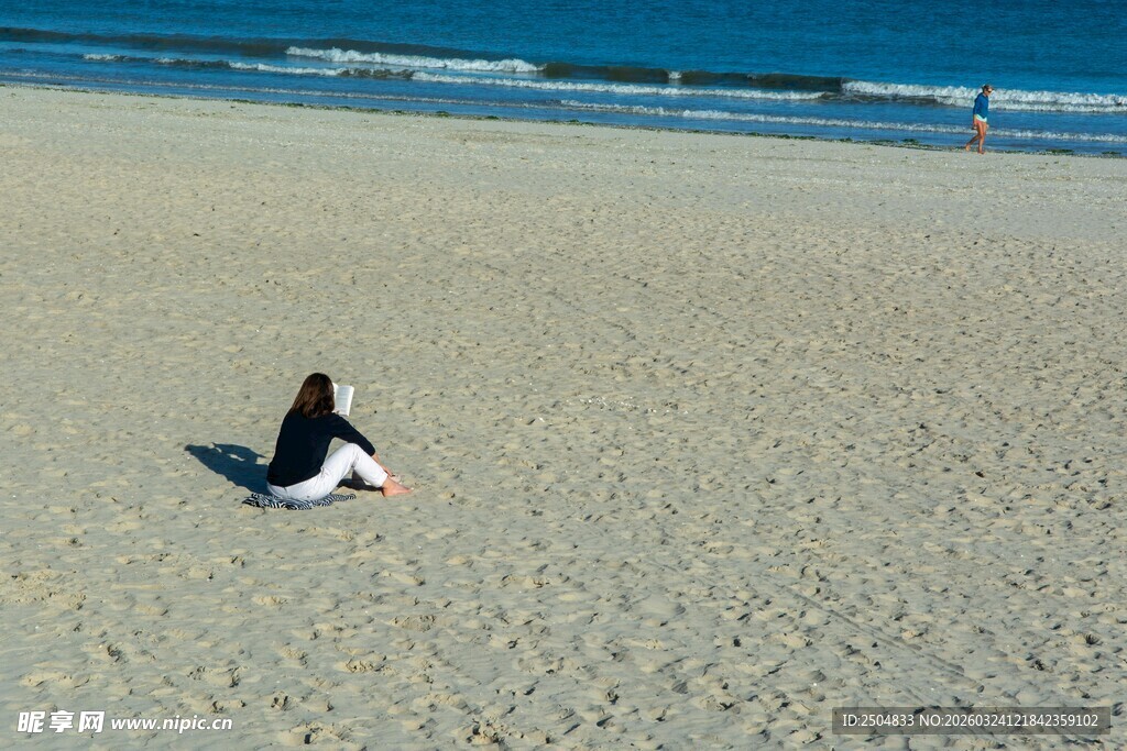 海滩上的黑白小鸟