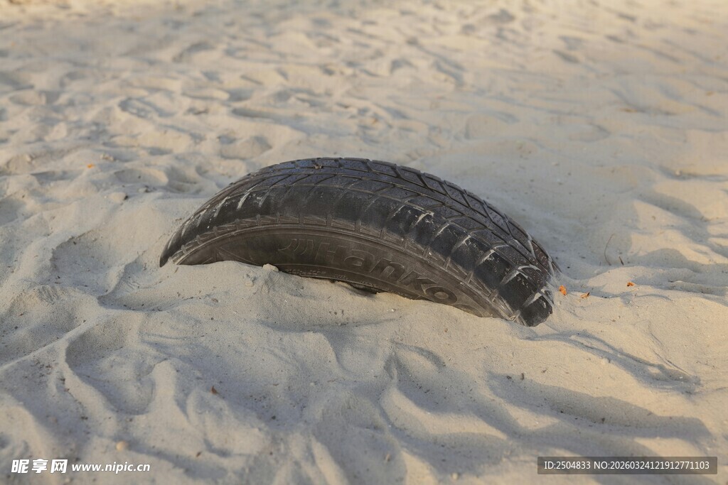 雪地中的黑色物体