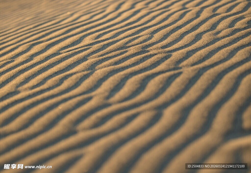  漠纹理 自然沙海奇观