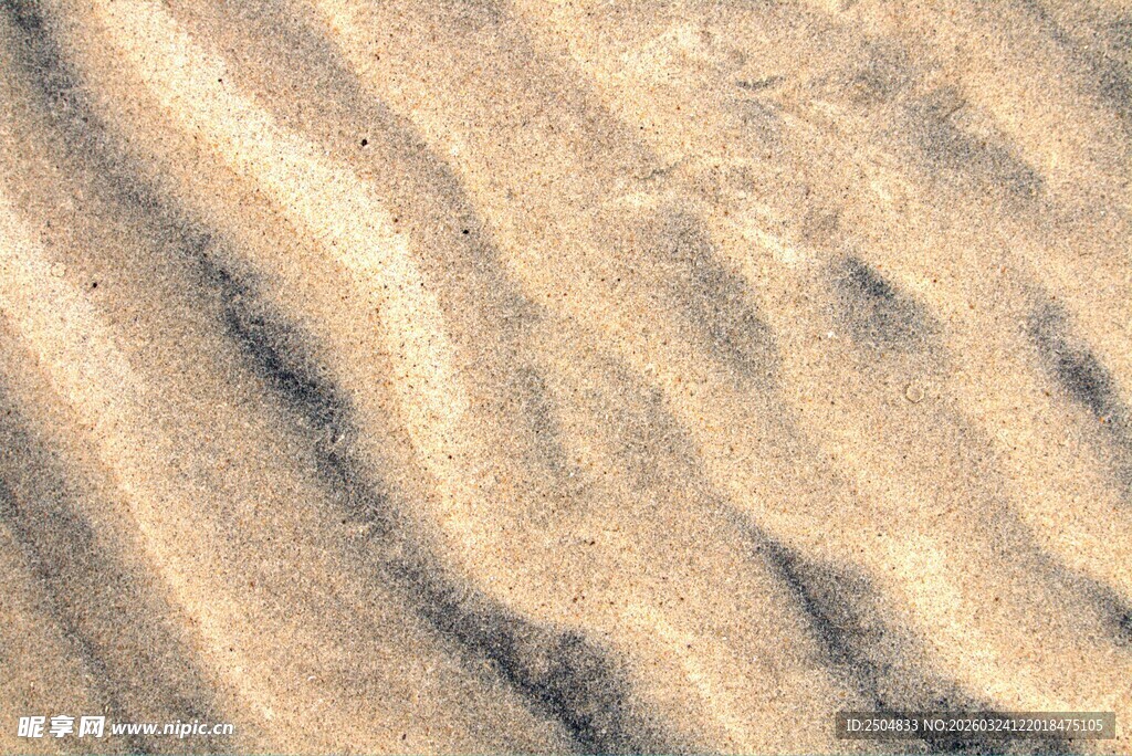 细腻纹理的沙丘表面