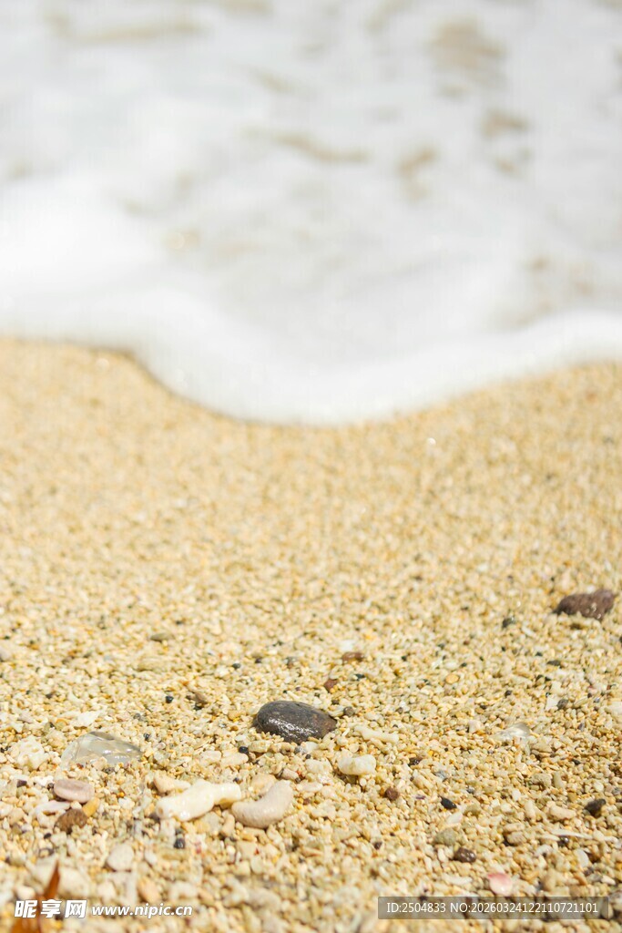 沙滩上的海浪与散落贝壳