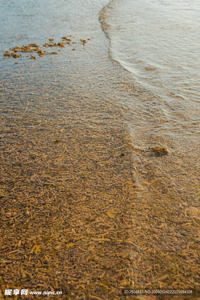 沙滩上的海浪与细腻沙粒