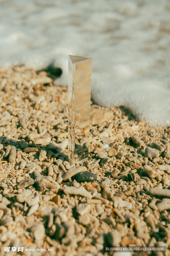 木屑堆中的木桩