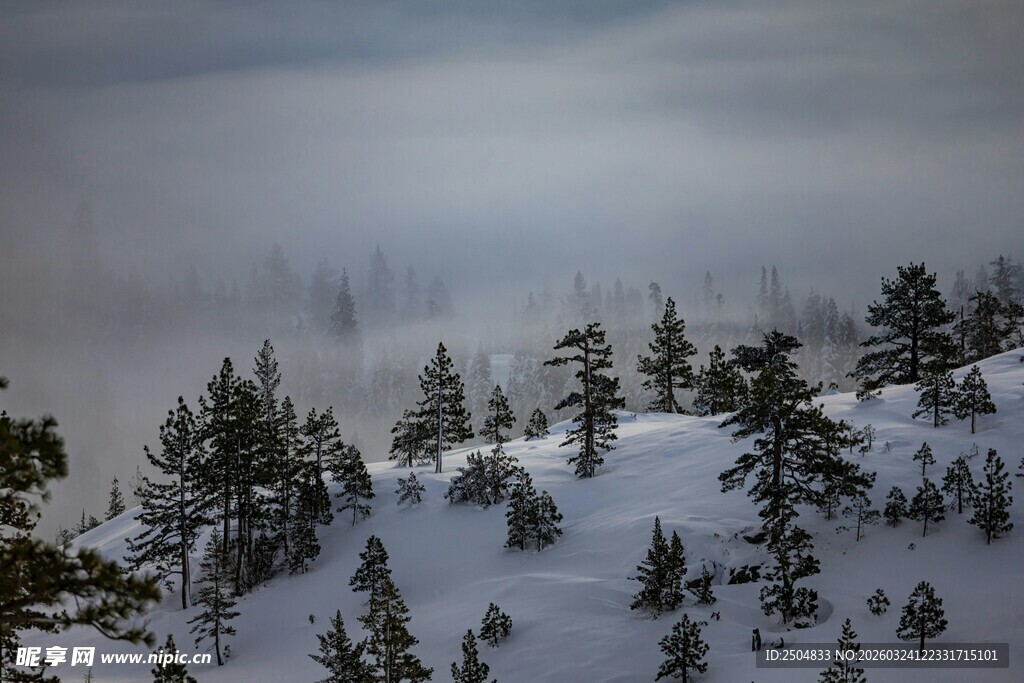 雪覆山林 雾霭中的静谧景致
