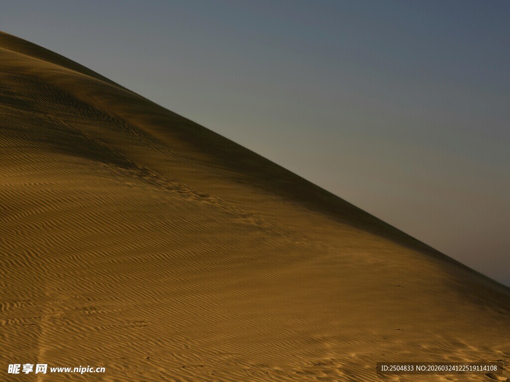  漠沙丘景观