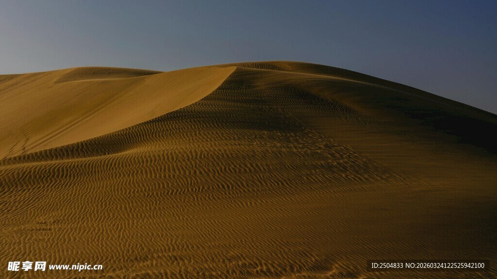 金色沙丘 广袤 漠风光