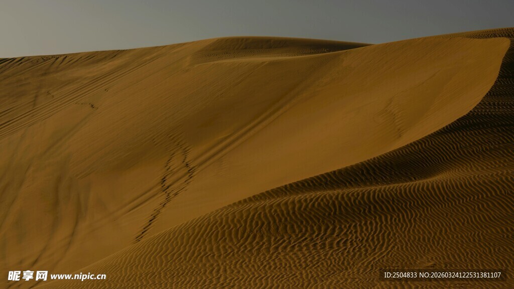  漠风光 沙丘绵延