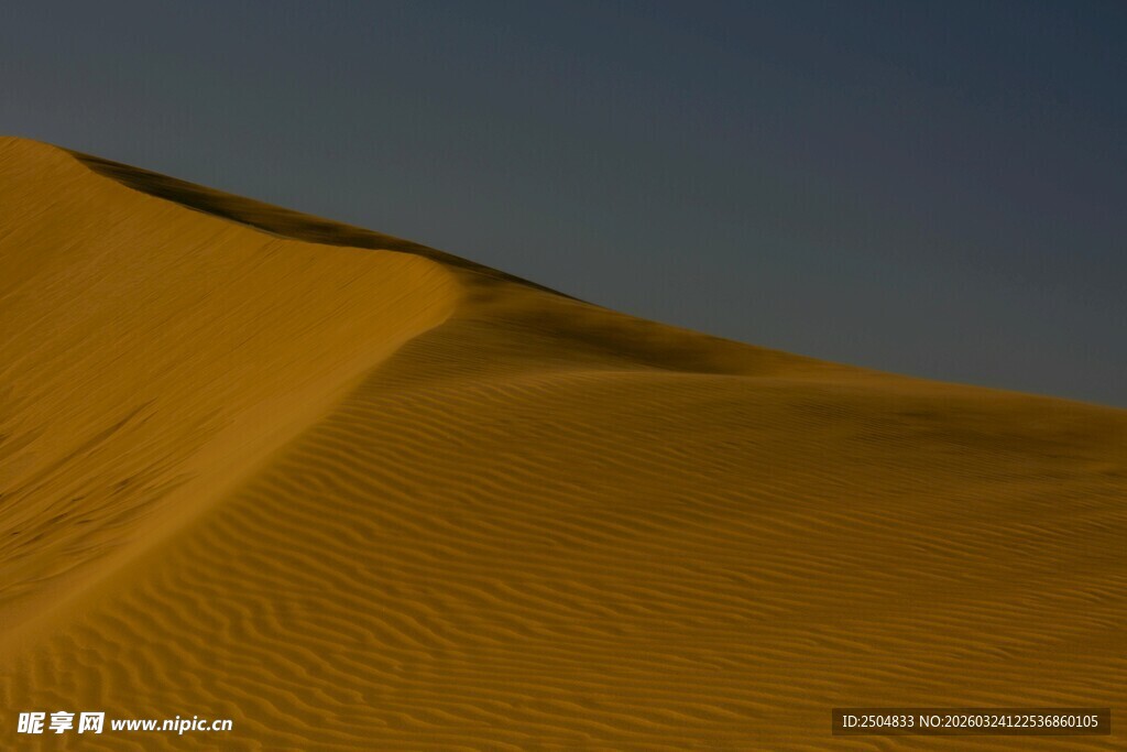  漠沙丘美景