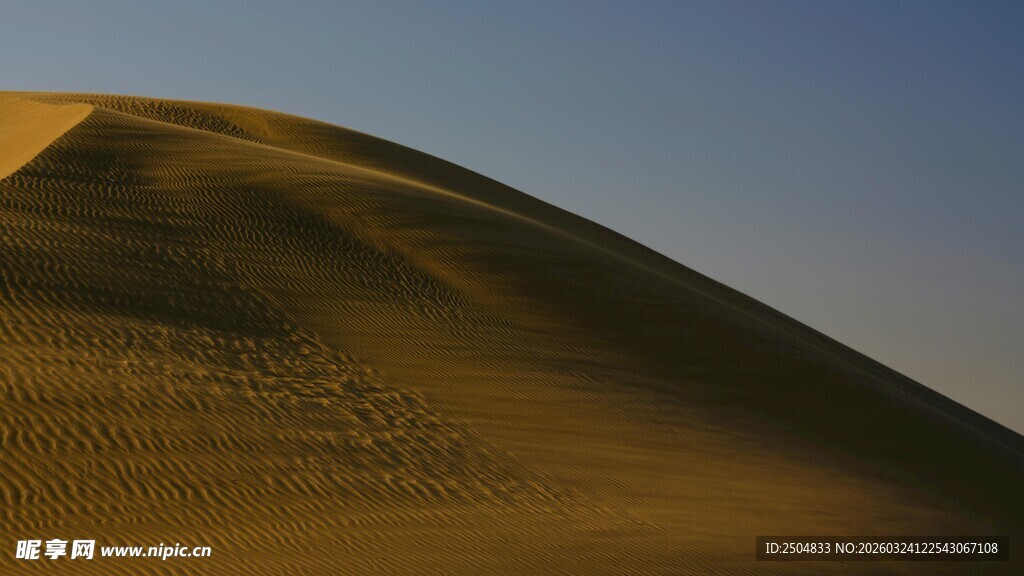  漠沙丘美景