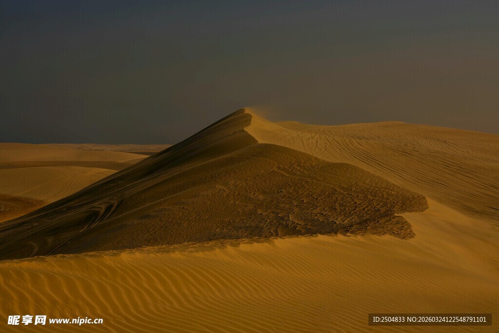  漠中的金色沙丘