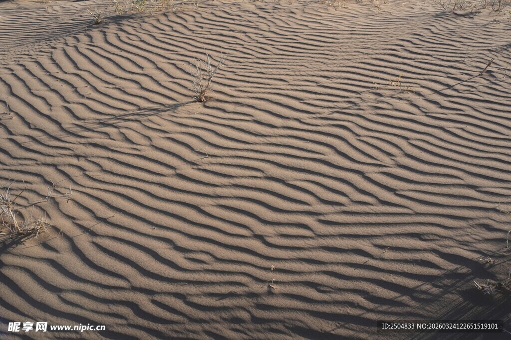  漠中的波纹沙海