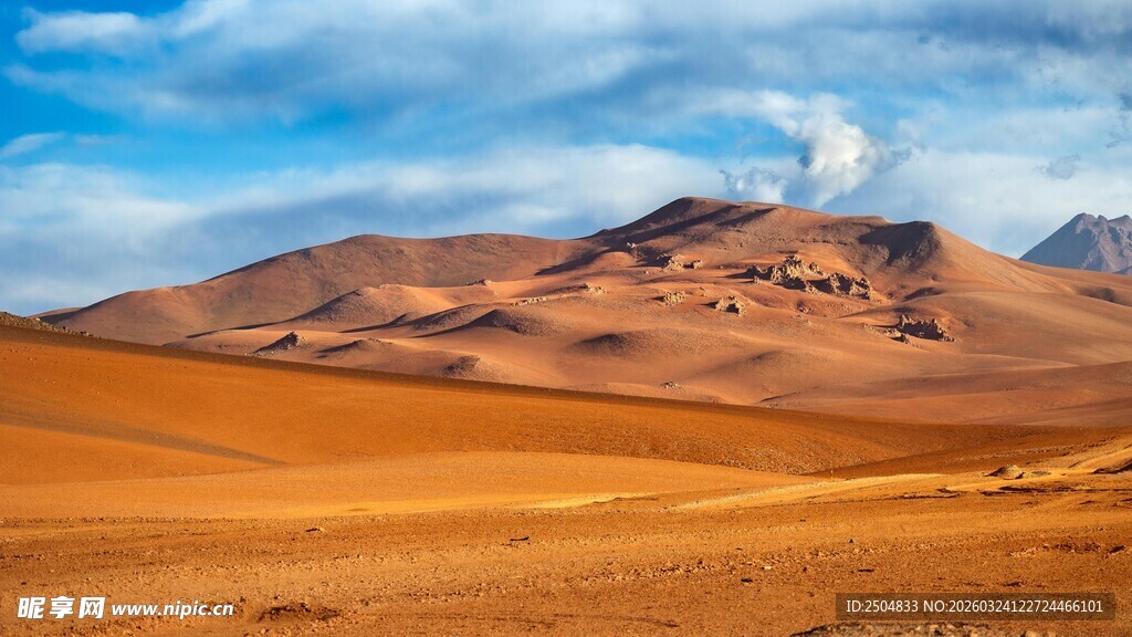 壮丽 漠风景