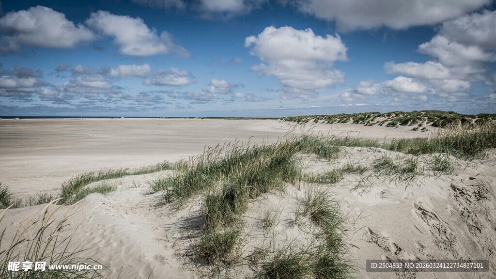 沙滩草地与蓝天白云美景