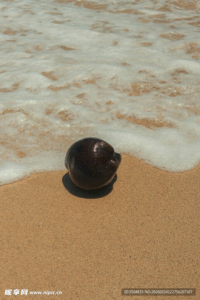 沙滩上被海浪冲刷的黑物