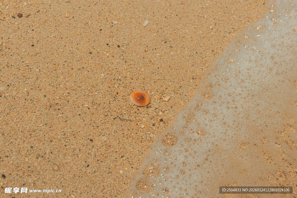 沙地上的红色斑点