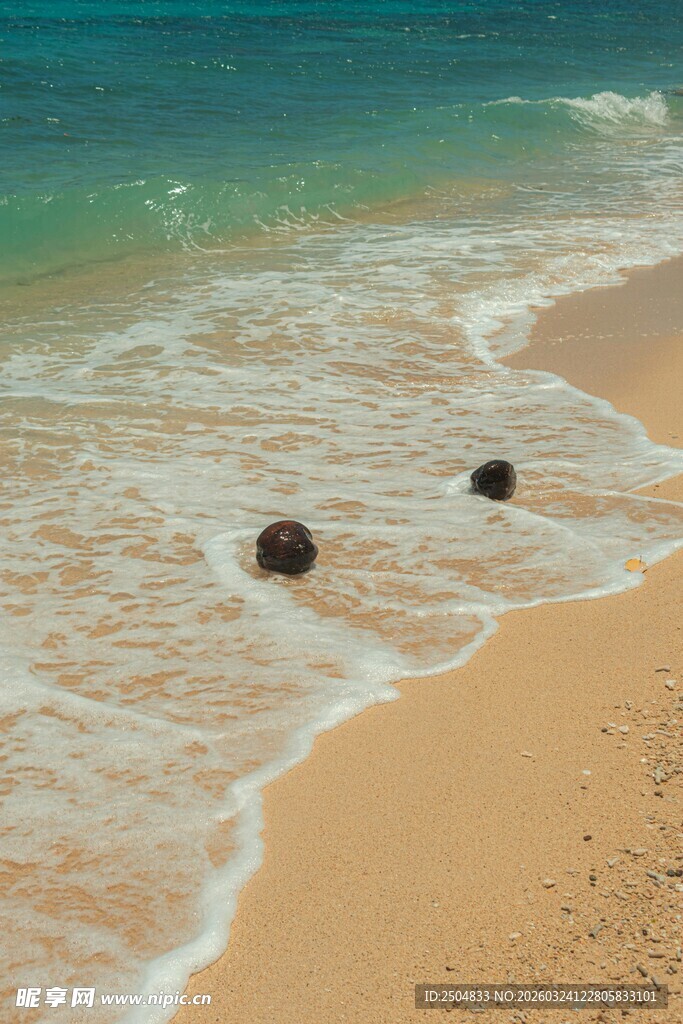 沙滩海浪中的黑色物体