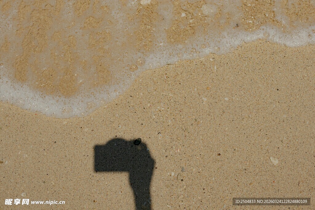 沙滩上的黑色物体与海浪