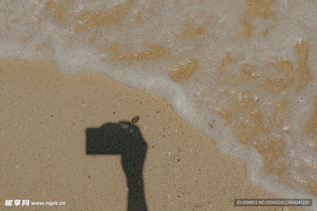 沙滩上的神秘黑色物体