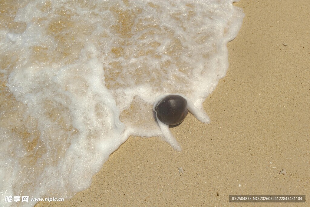 海浪中的黑色物体