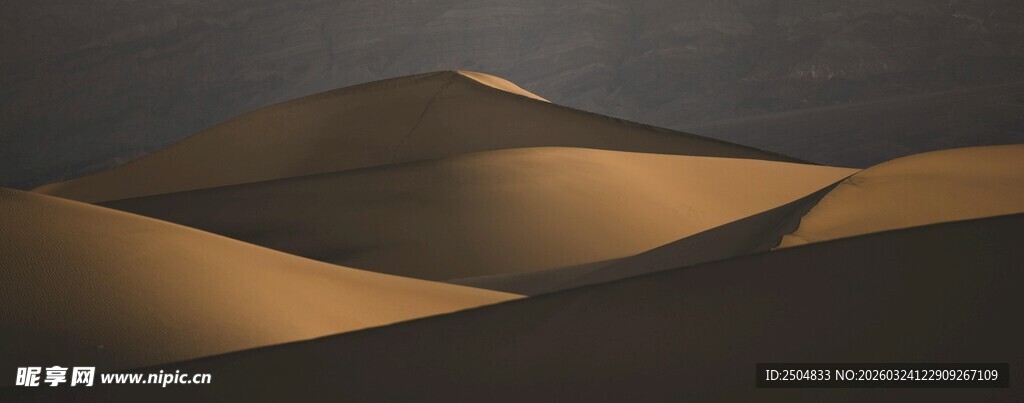  漠沙丘美景