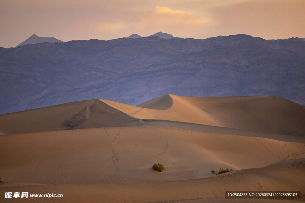 漠黄昏下的壮丽沙丘景观