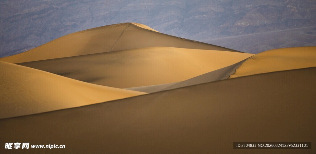 壮丽 漠景观