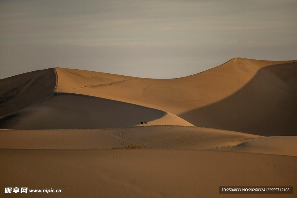 壮丽 漠沙丘景观