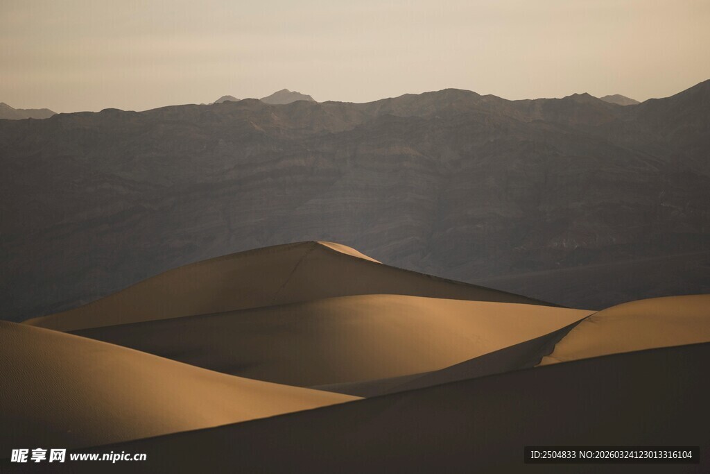  漠壮丽沙丘景观