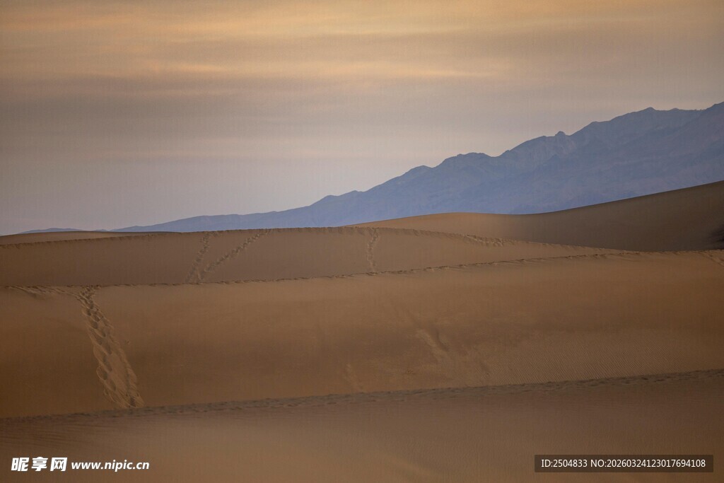 广袤 漠与远处山峦