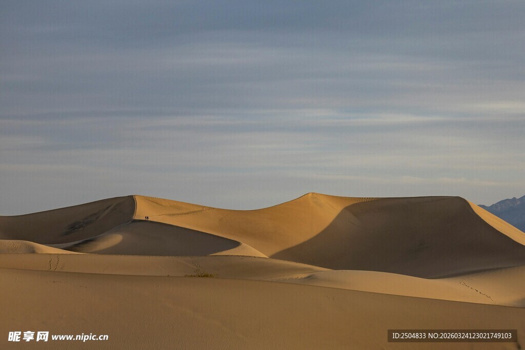 壮丽 漠沙丘景观