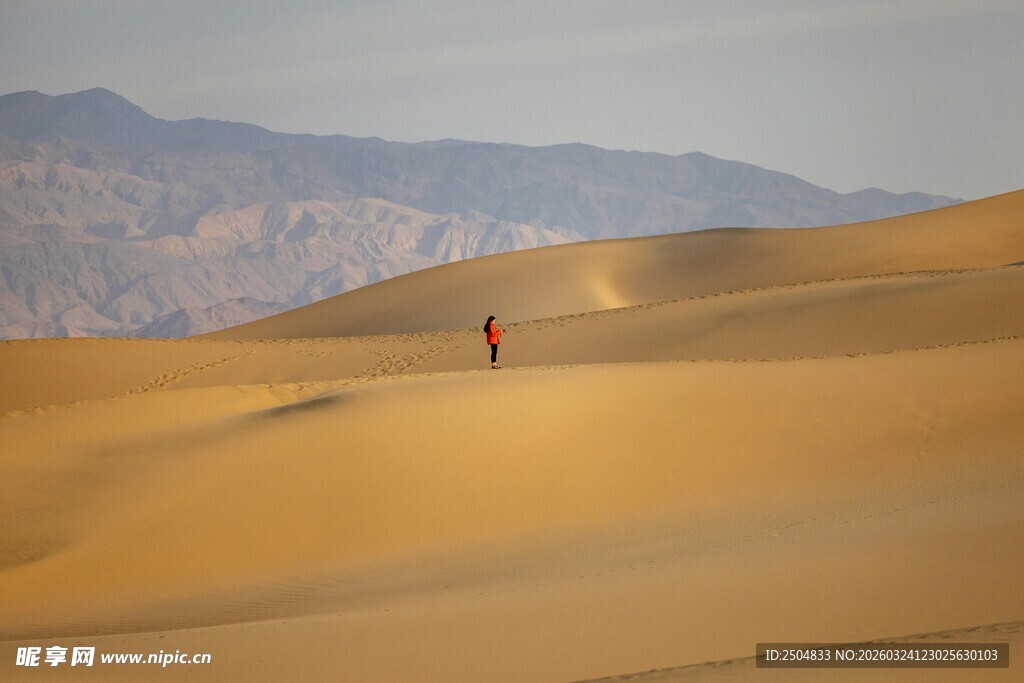  漠中孤独的行者