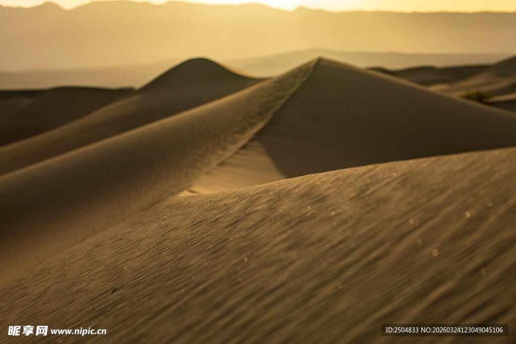 金色 漠的壮丽黄昏景色