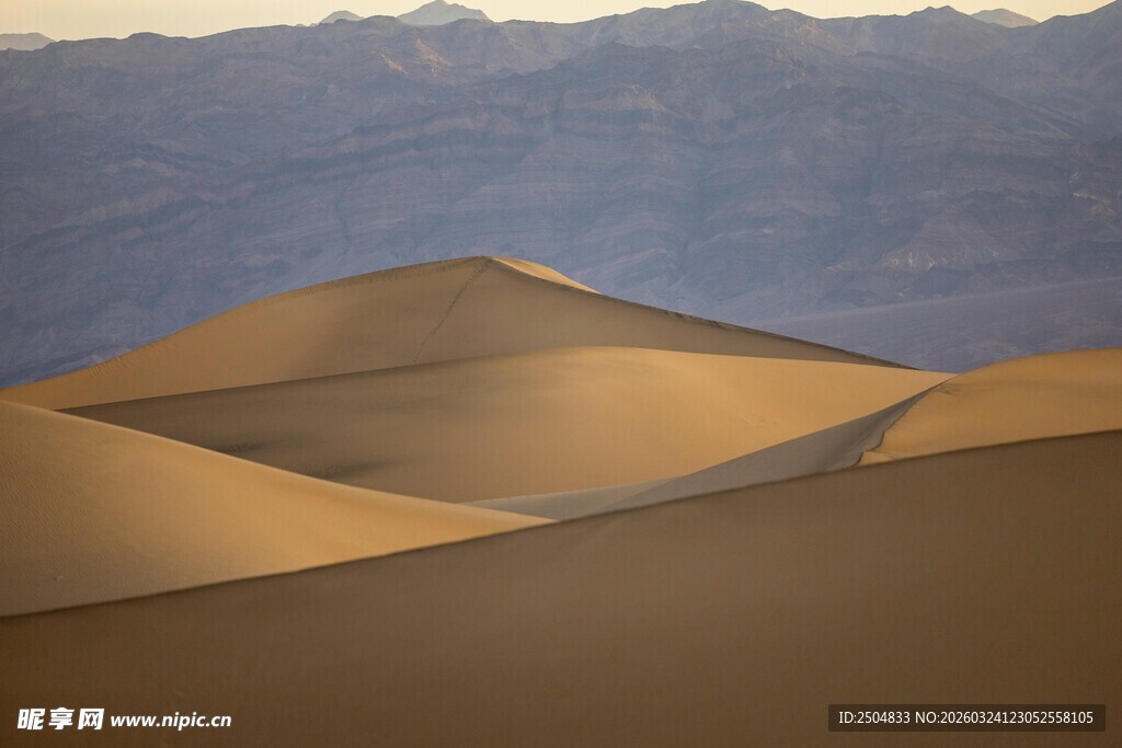 壮丽 漠沙丘景观