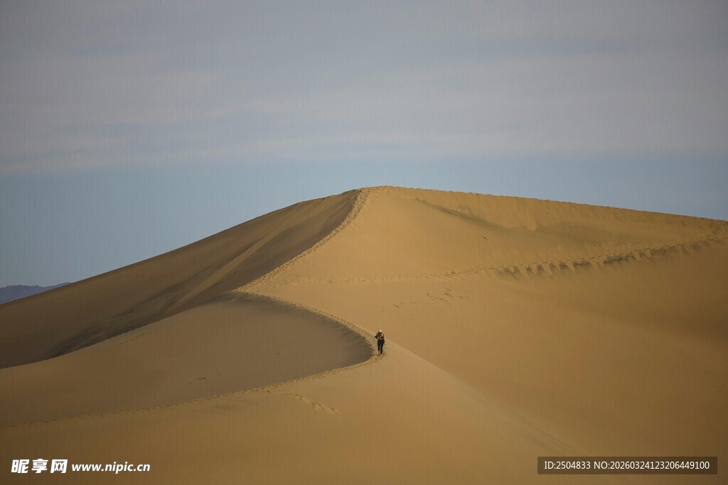  漠中独行者的孤寂之旅