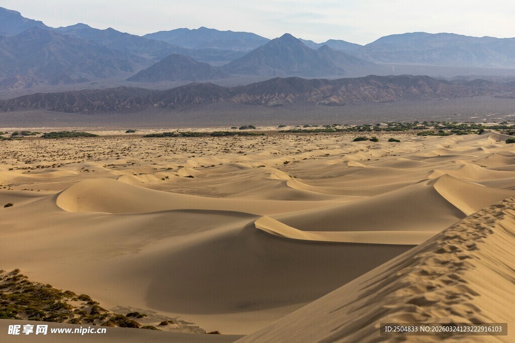  漠风光中的连绵沙丘