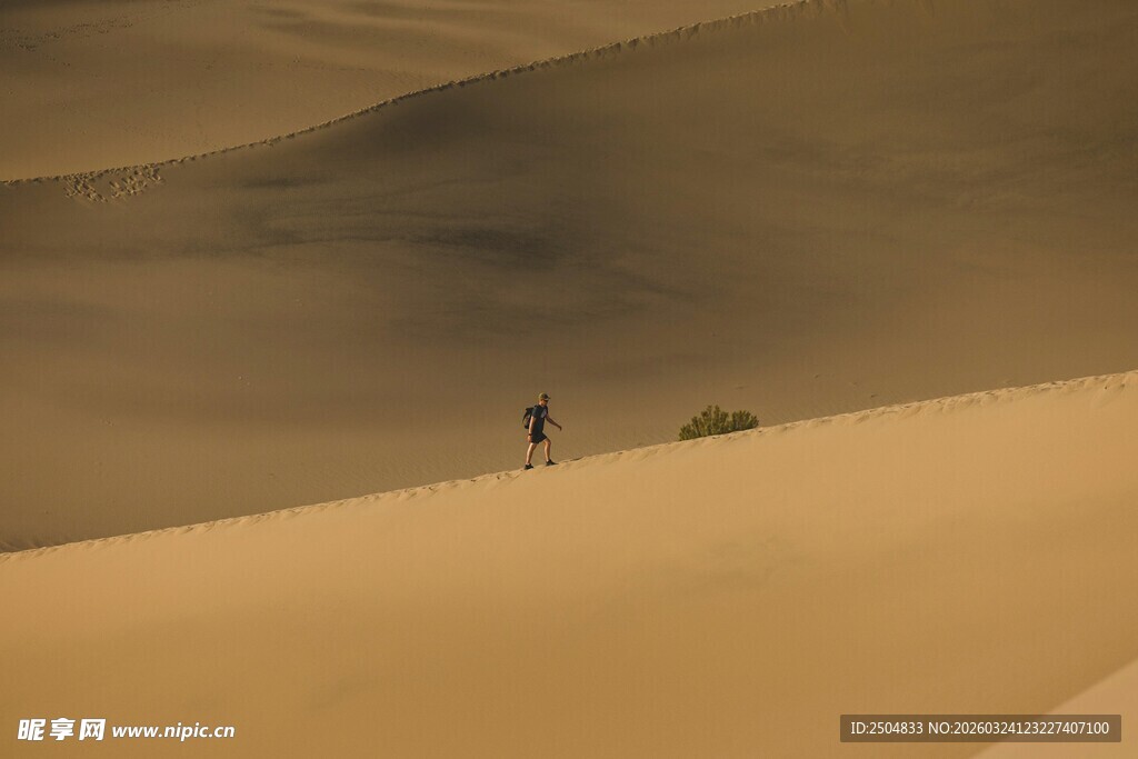  漠中独行的孤独身影