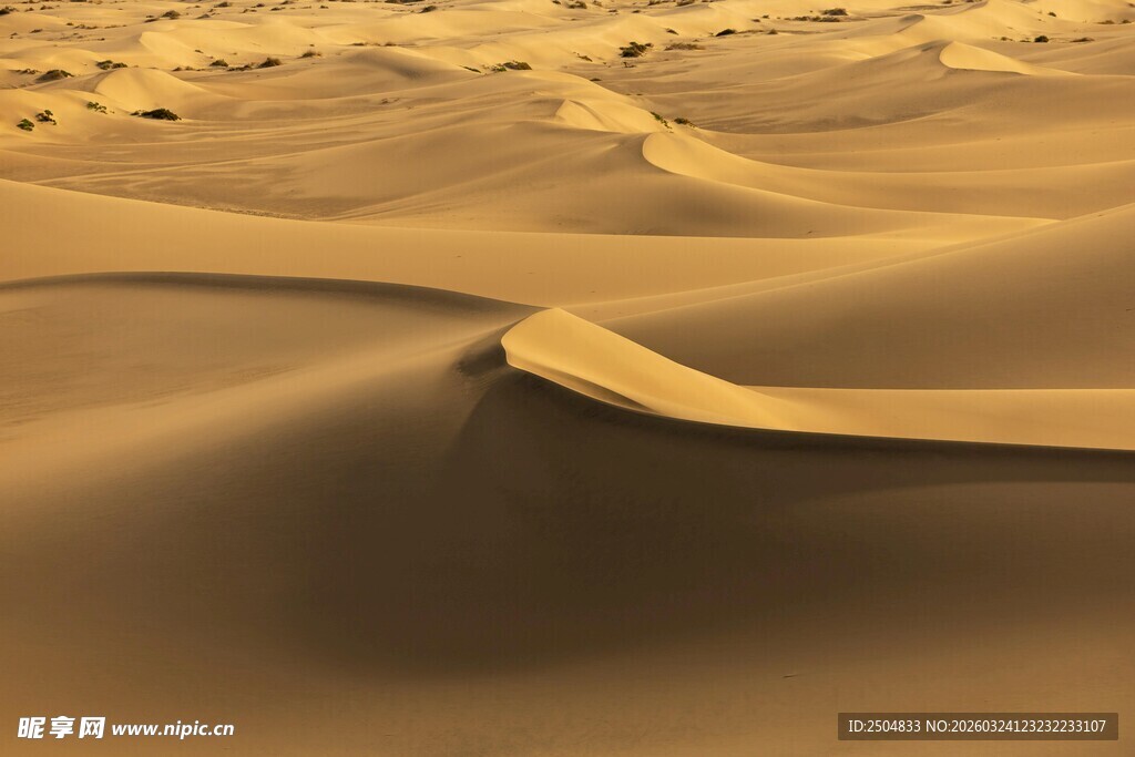  漠沙丘景观