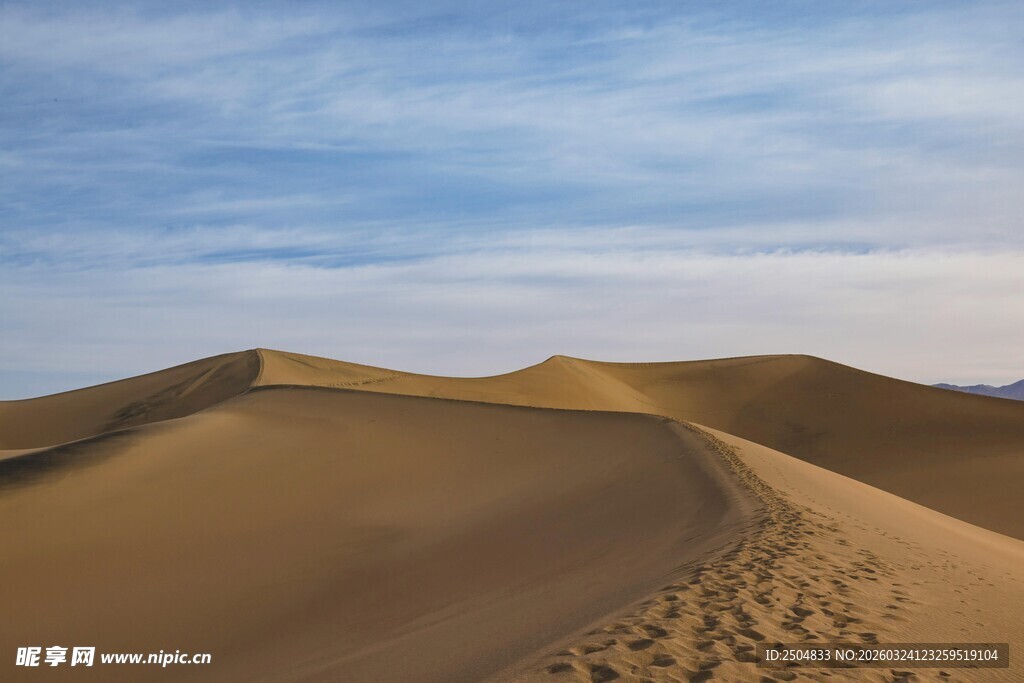  漠足迹 广袤沙海的独特印记