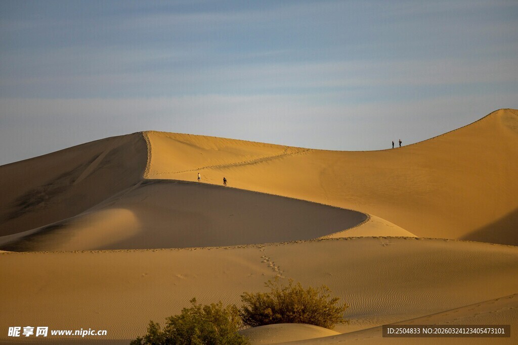  漠风光 沙丘与绿植点缀