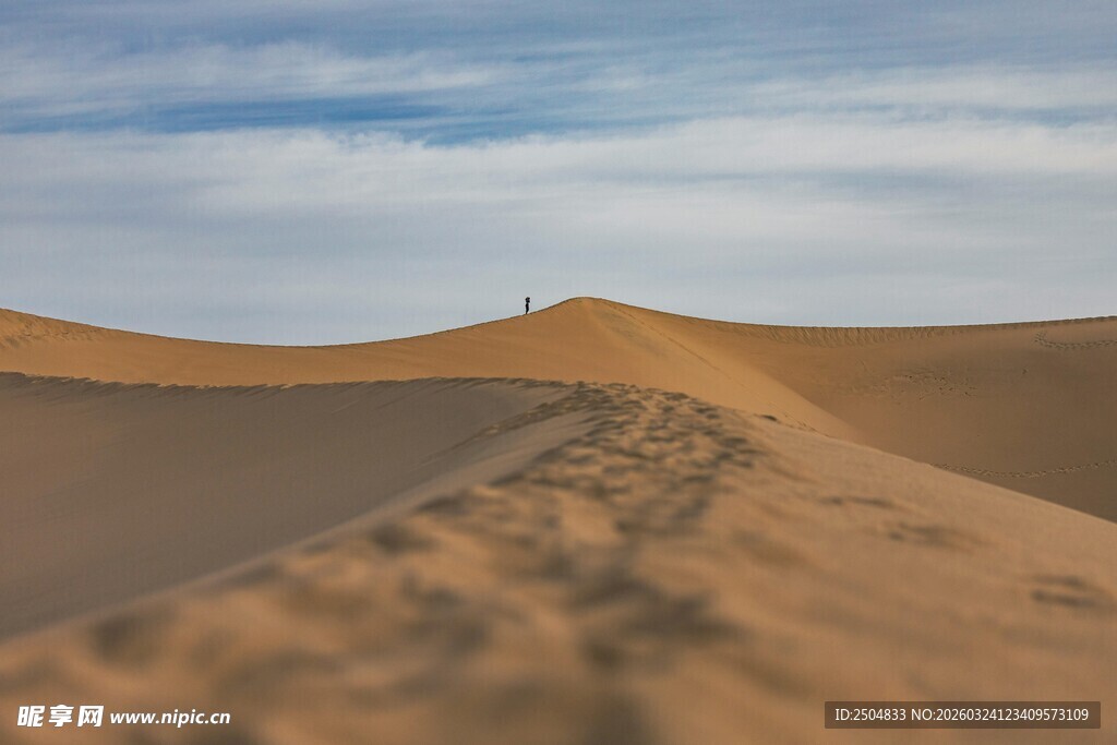  漠足迹 孤独行者的征途