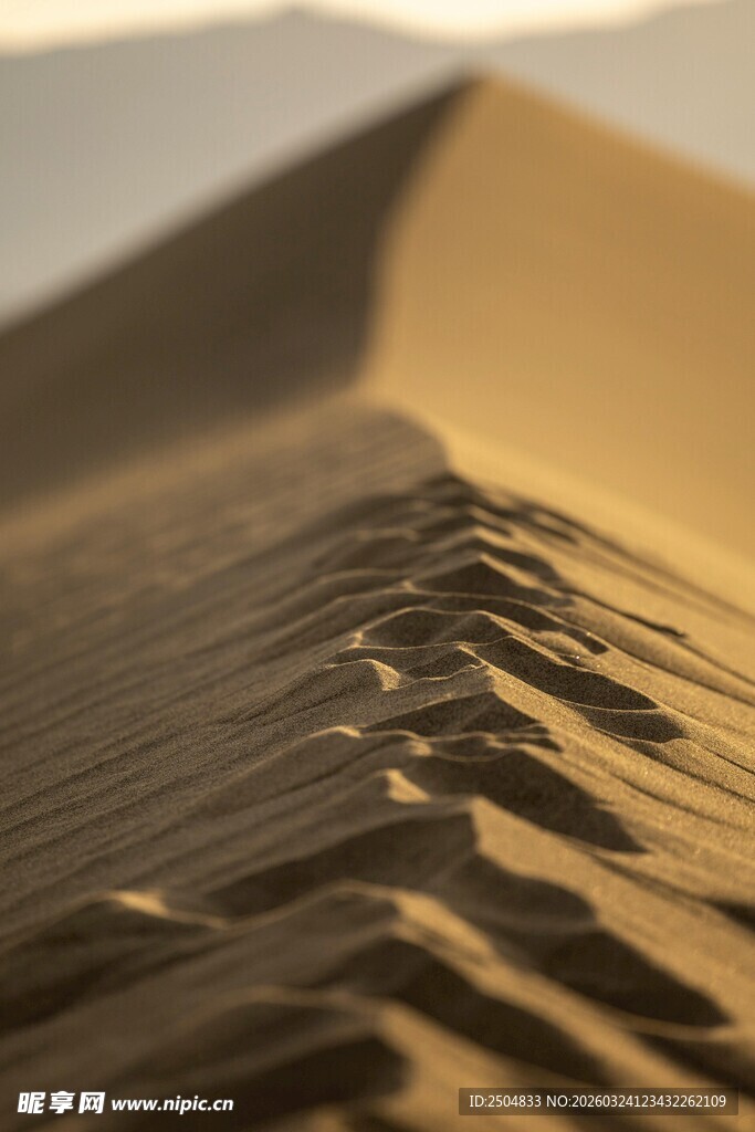  漠沙丘纹理特写