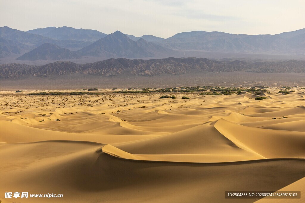 广袤 漠与远处山峦景观
