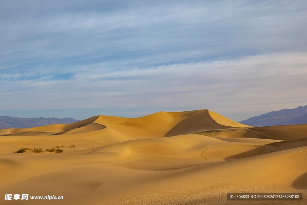 金色沙丘 广袤 漠风光