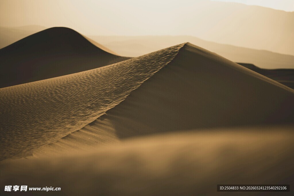  漠沙丘的壮丽景观